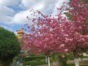 Красотой природы поделился наш клиент