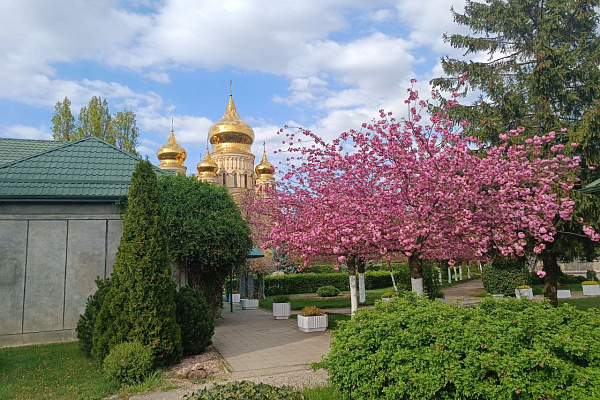 Красотой природы поделился наш клиент